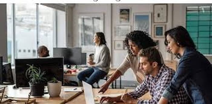 best seo agency in dubai interamplify